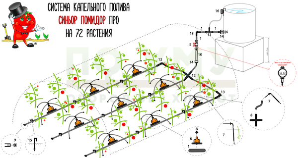 Система капельного полива СИНЬОР ПОМИДОР ПРО на 72 растения в Калуге